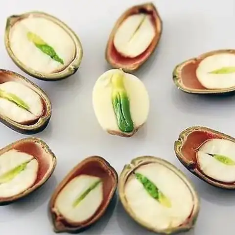 Lotus plumule, the green embryo inside the lotus seed